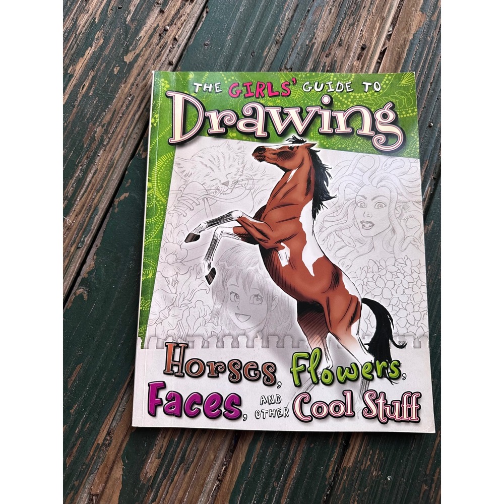 The Girls Guide to Drawing Horses Flowers Faces and Other Cool Stuff Book